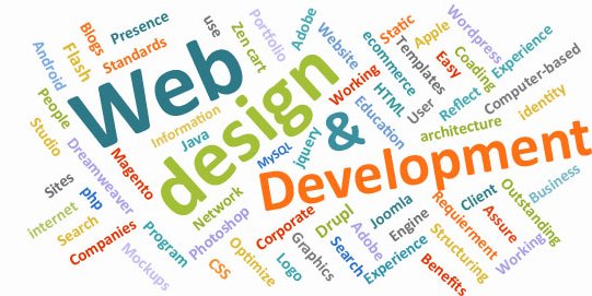 web design & development trends