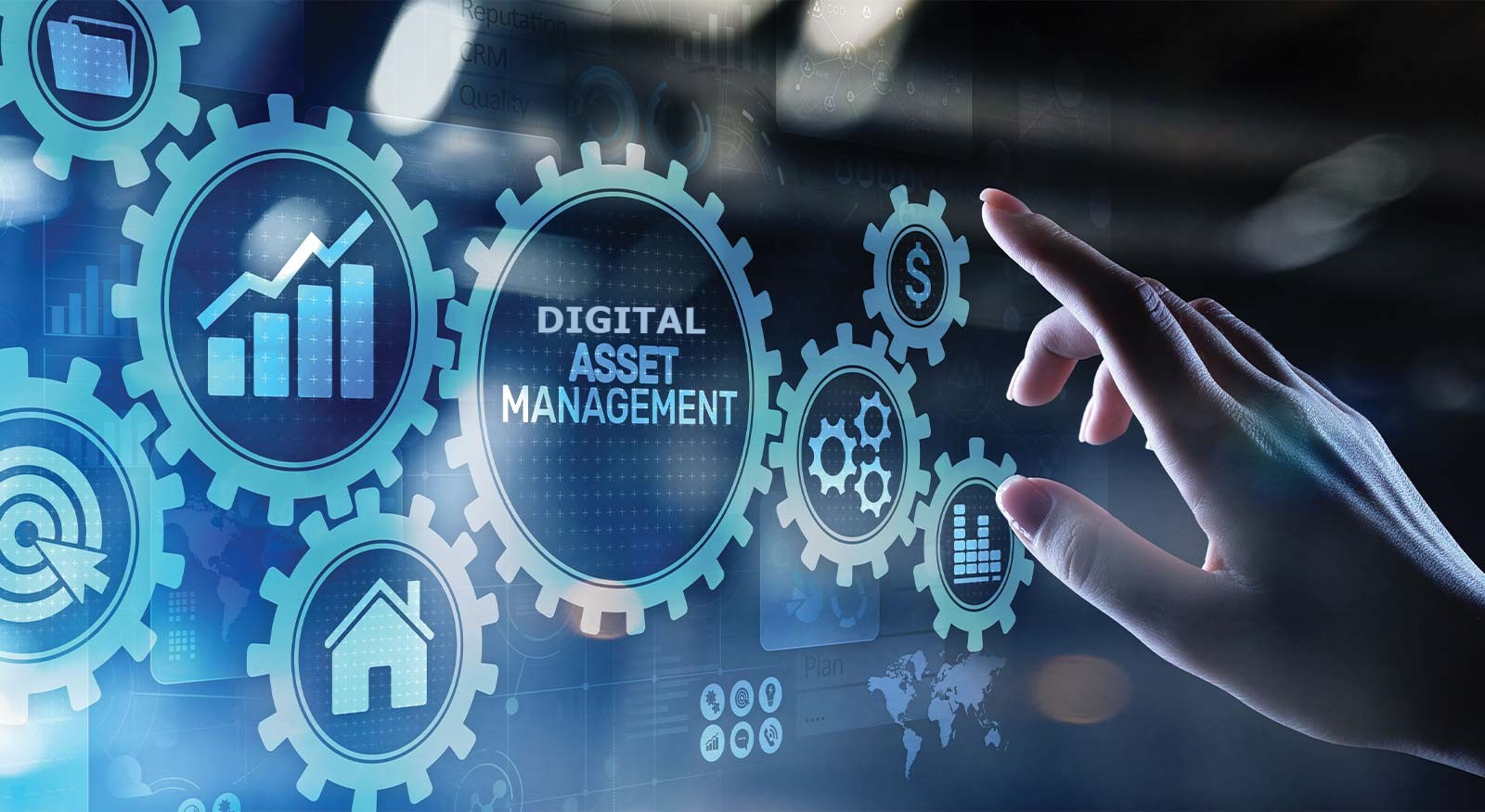 digital asset management services