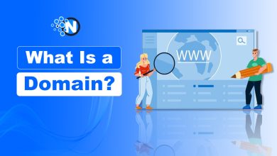 what is a Domain