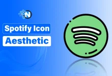 Spotify Icon Aesthetic