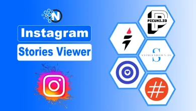 Instagram Stories Viewer