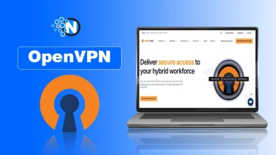 OpenVPN