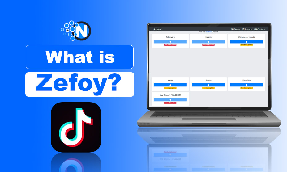 What is Zefoy?