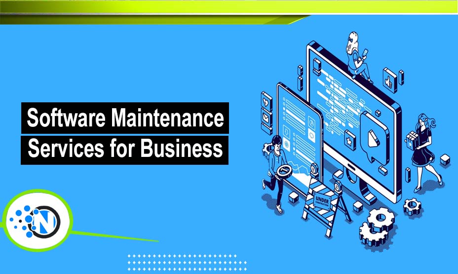 Software Maintenance Services