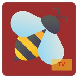 Bee TV