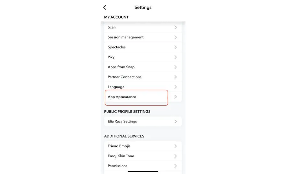 App Appearance Snapchat