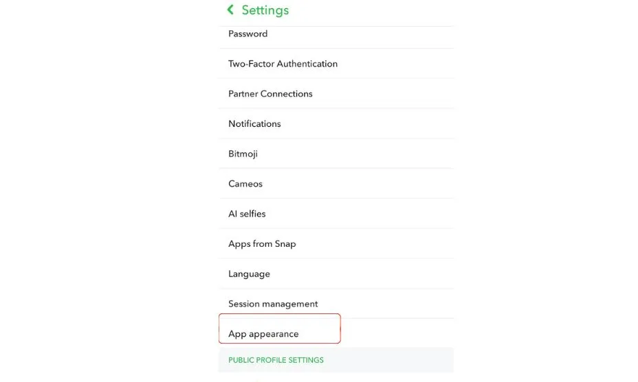 App Appearance Snapchat