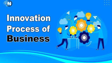 Innovation Process of Business
