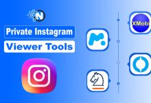 Private Instagram Viewer Tools