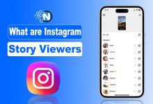 What are Instagram Story Viewers