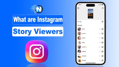 What are Instagram Story Viewers