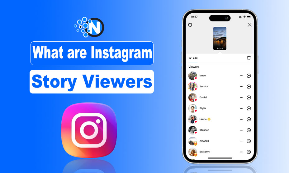 What are Instagram Story Viewers