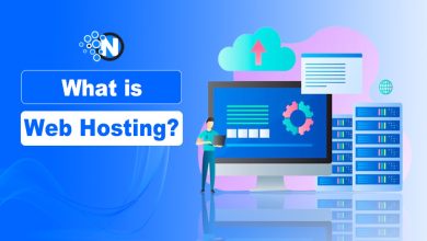 What is Web Hosting?