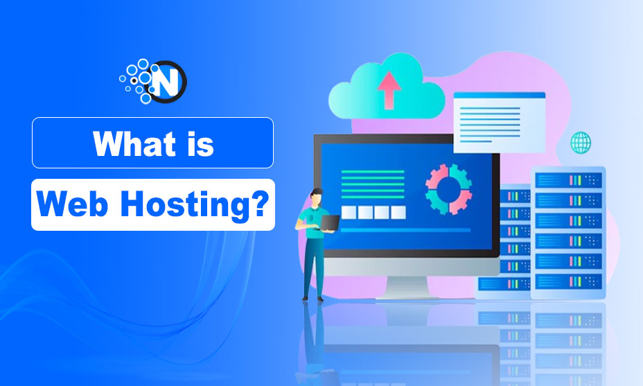 What is Web Hosting?