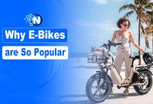 Why E-Bikes are So Popular