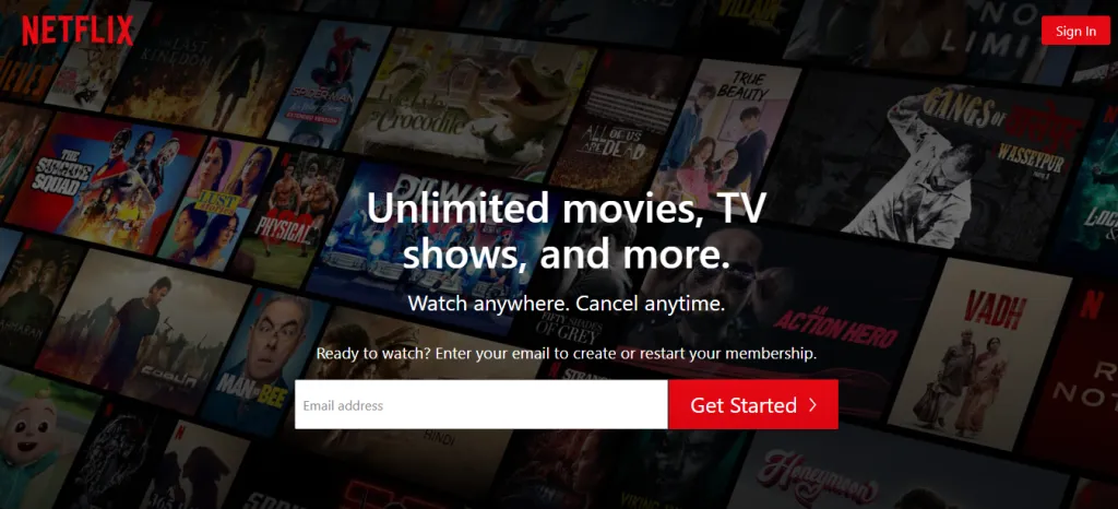 Netflix - Flix With Premium