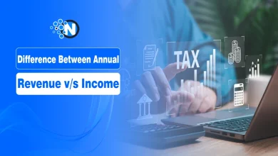 Differentiating Between Annual Revenue v/s Income