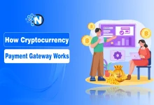 How Cryptocurrency Payment Gateway Works