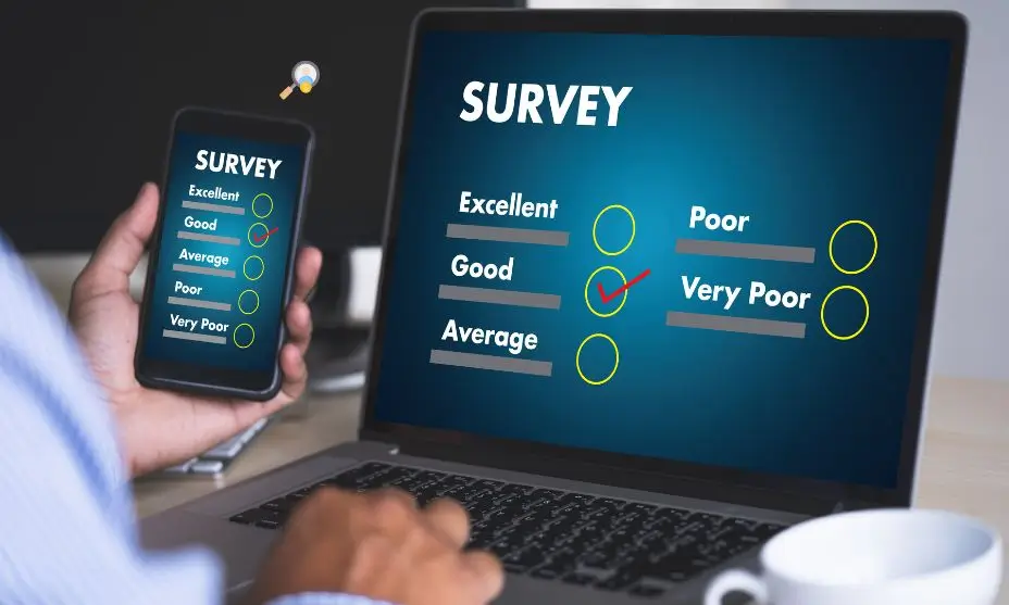 Paid Surveys