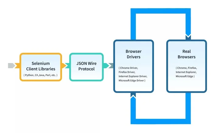 What is Selenium WebDriver