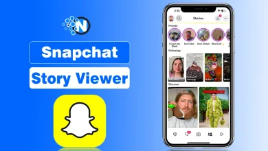 Snapchat Story Viewer