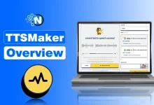 TTSMaker Overview