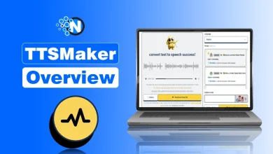 TTSMaker Overview