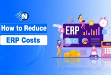 How to Reduce ERP Costs