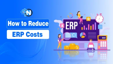 How to Reduce ERP Costs