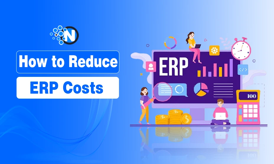 How to Reduce ERP Costs