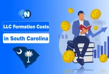 LLC Formation Costs in South Carolina